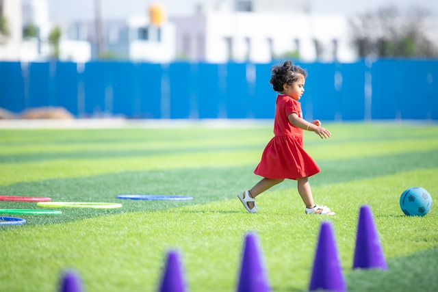 退役后